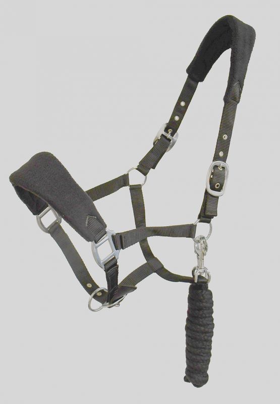 Personalised Anatomical Headcollar And Leadrope Set - Bold Design