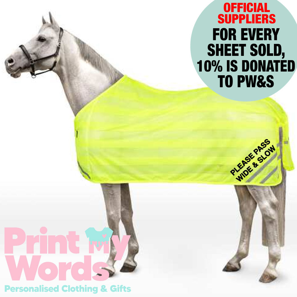 2025 Official PW&S High Visibility Hi Vis Equestrian Horse Reflective MESH Walker/Lunge/Exercise Rug - CAMERA, 10mph, 2m