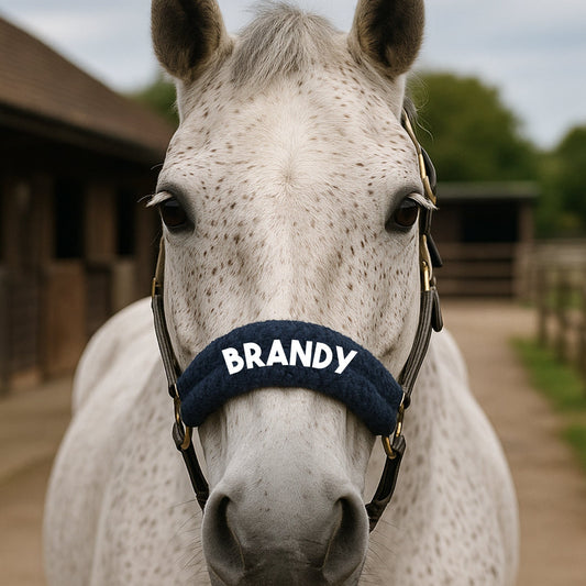 Personalised Anatomical Headcollar And Leadrope Set - Bold Design