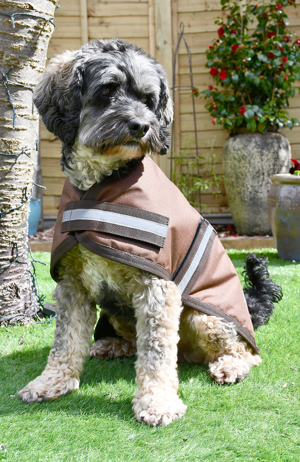 Personalised Waterproof Dog Coat - Own Logo