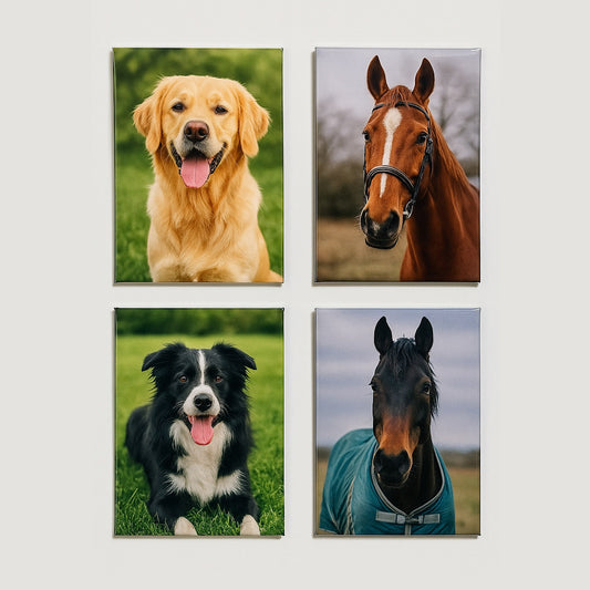 Premium Personalised Photo Magnets Bundle Set