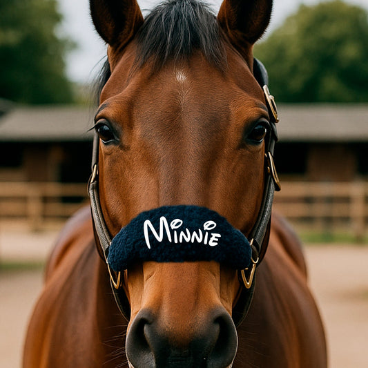 Personalised Anatomical Headcollar And Leadrope Set - Magical Design