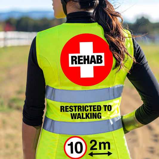 High Visibility Hi Vis Equestrian Injured Horse Reflective Vest Tabard Waistcoat REHAB, RESTRICTED, 10MPH 2M hi-viz