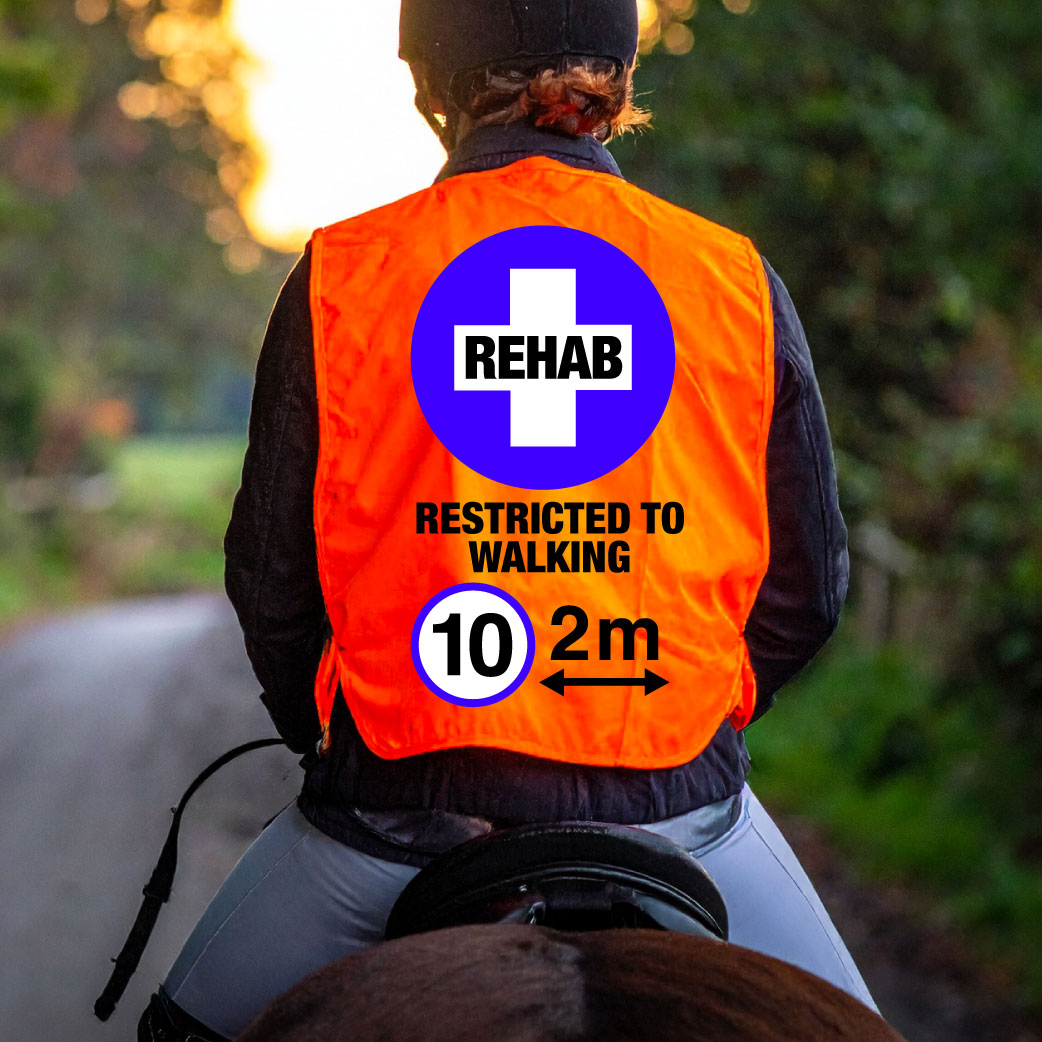 High Visibility Hi Vis Equestrian Injured Horse Reflective Vest Tabard Waistcoat REHAB, RESTRICTED, 10MPH 2M hi-viz