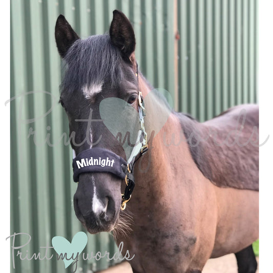 Personalised Anatomical Headcollar And Leadrope Set - Marker Design