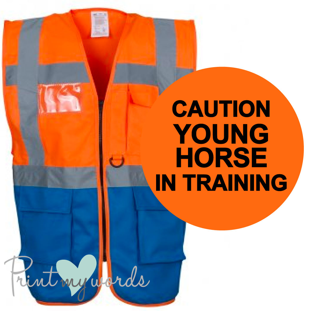 High Visibility Hi Vis Equestrian Reflective Vest Tabard Waistcoat CAUTION YOUNG HORSE IN TRAINING hi-viz