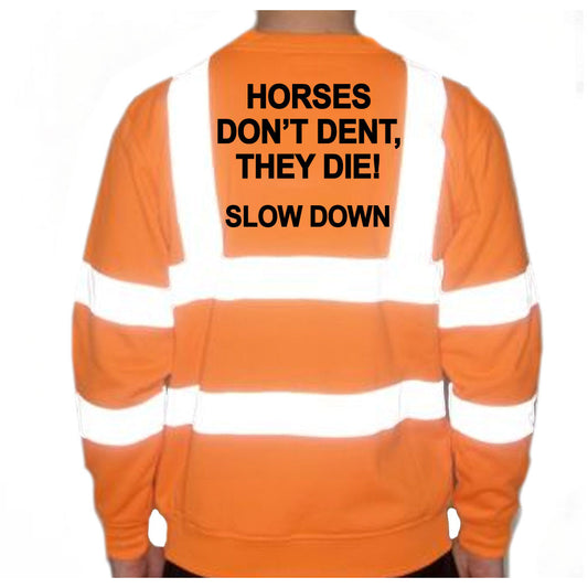Unisex Hi-Vis Reflective Jumper/Sweatshirt - HORSES DON'T DENT THEY DIE