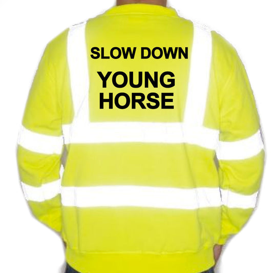 Unisex Hi-Vis Reflective Jumper/Sweatshirt - SLOW DOWN YOUNG HORSE