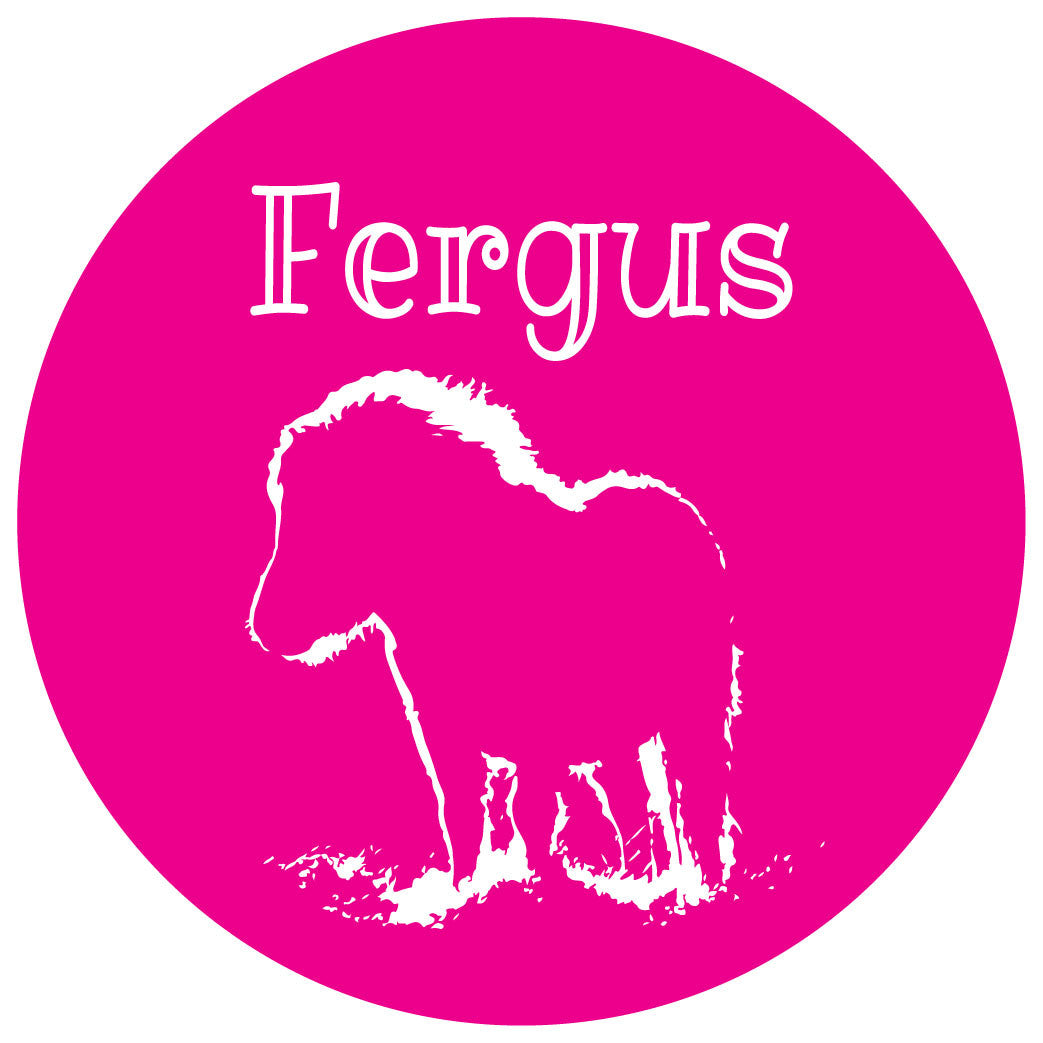 Personalised Shetland Pony Equestrian Stickers - Pack of 10.