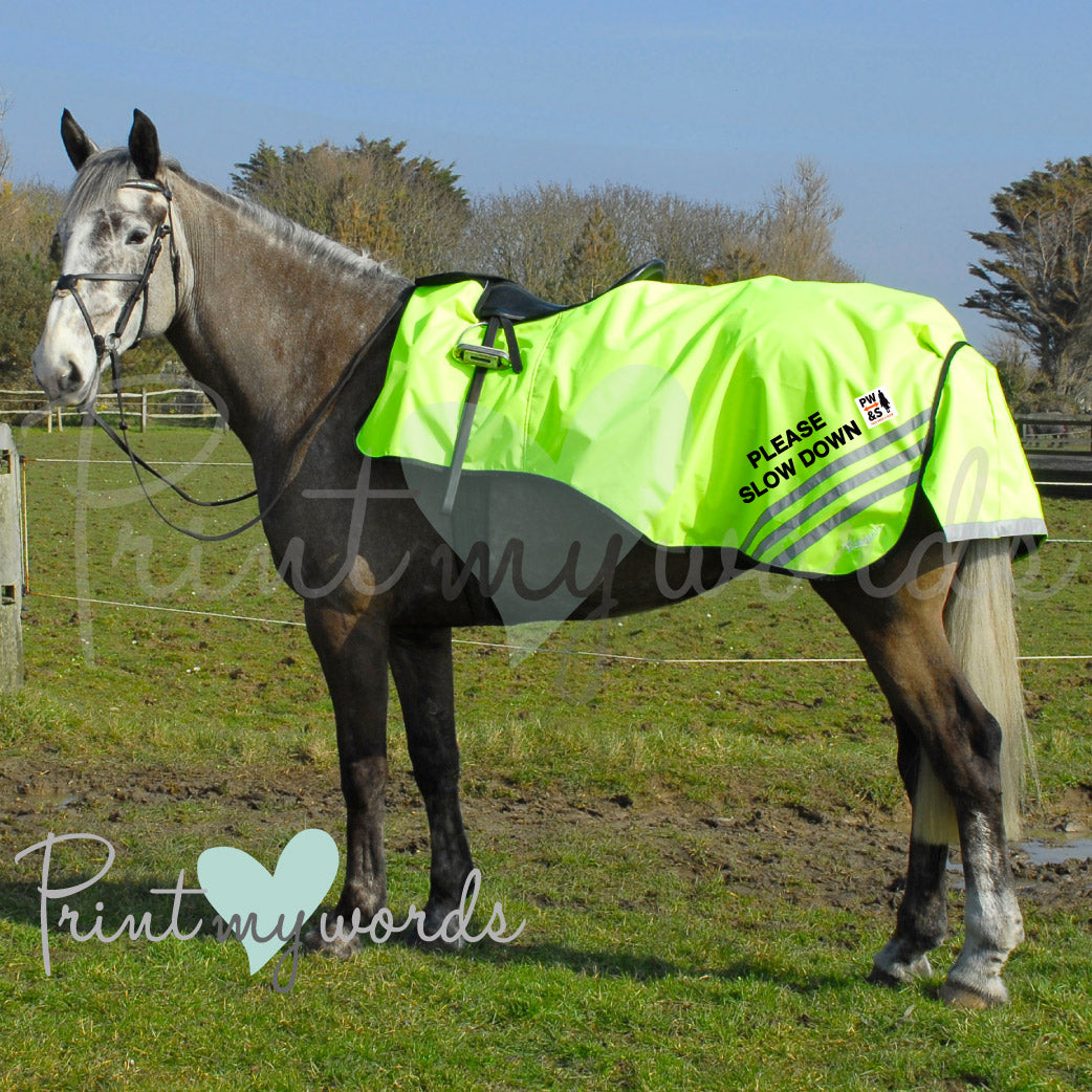 Official PW&S High Visibility Hi Vis Equestrian Horse Reflective 3/4 Length Cutaway Ride-On Rug - CAMERA, 10mph, PLEASE PASS WIDE & SLOW