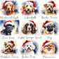 Any Dog Breed – Personalised Christmas Dog Treat Box – Festive Puppy Treats – Dog Xmas Gift Box – Dogs Christmas Present
