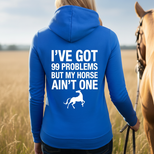 99 Problems Funny Equestrian Hoodie