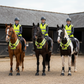 PRE ORDER - SQUARE Official PW&S High Visibility Equestrian Reflective Horse Breastplate With Camera Symbol and 2m Distance
