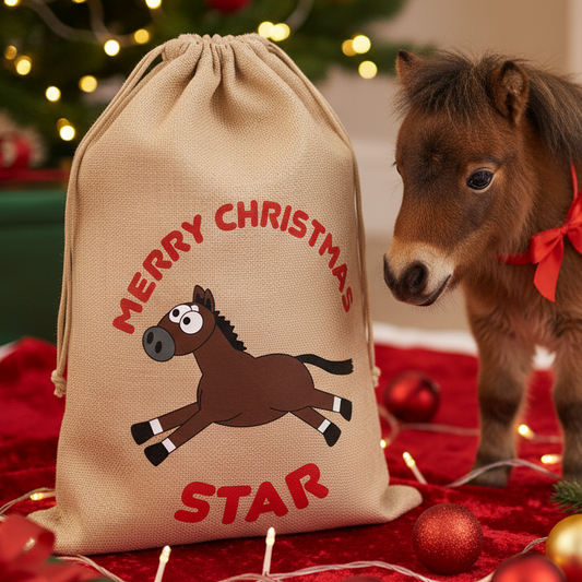 Personalised Plodders Christmas Sack made to resemble your horse, custom name