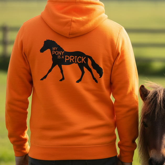 My Pony Is A Prick Funny Equestrian Hoodie