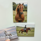 Premium Personalised Photo Magnets Bundle Set