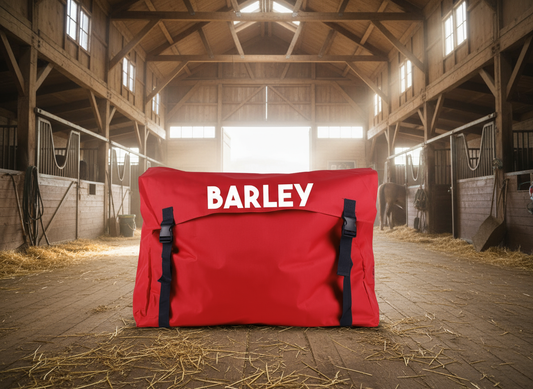 Personalised Equestrian Horse Stable Storage Bag Tidy - Bold Design