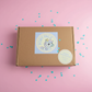 Pony Pals Subscription Box: Age 3-6