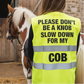 High Visibility Hi Vis Equestrian Reflective Vest Tabard Waistcoat DON'T BE A KNOB