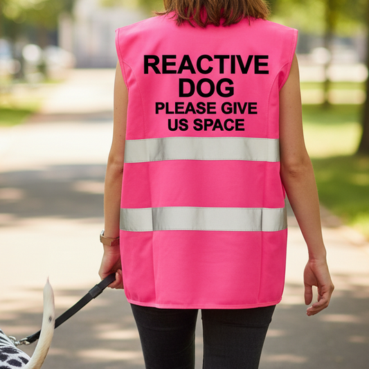 High Visibility Hi Vis Dog Training Reflective Vest Tabard Waistcoat REACTIVE Dog Please Give Us Space