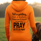 Pray If It's A Pony Funny Equestrian Hoodie