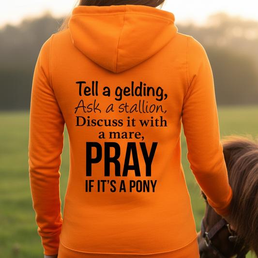 Pray If It's A Pony Funny Equestrian Hoodie
