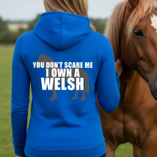 I Own A Welsh Funny Equestrian Hoodie