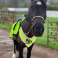 Official PW&S High Visibility Equestrian Reflective Horse Breastplate With Camera Symbol