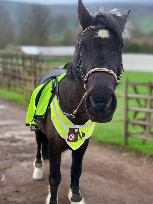 Official PW&S High Visibility Equestrian Reflective Horse Breastplate With Camera Symbol