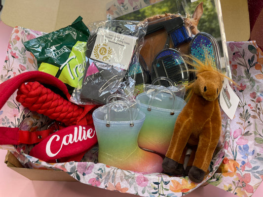 Pony Pals Subscription Box: Age 3-6