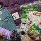 Stable Surprises Subscription Box: Age 12-15