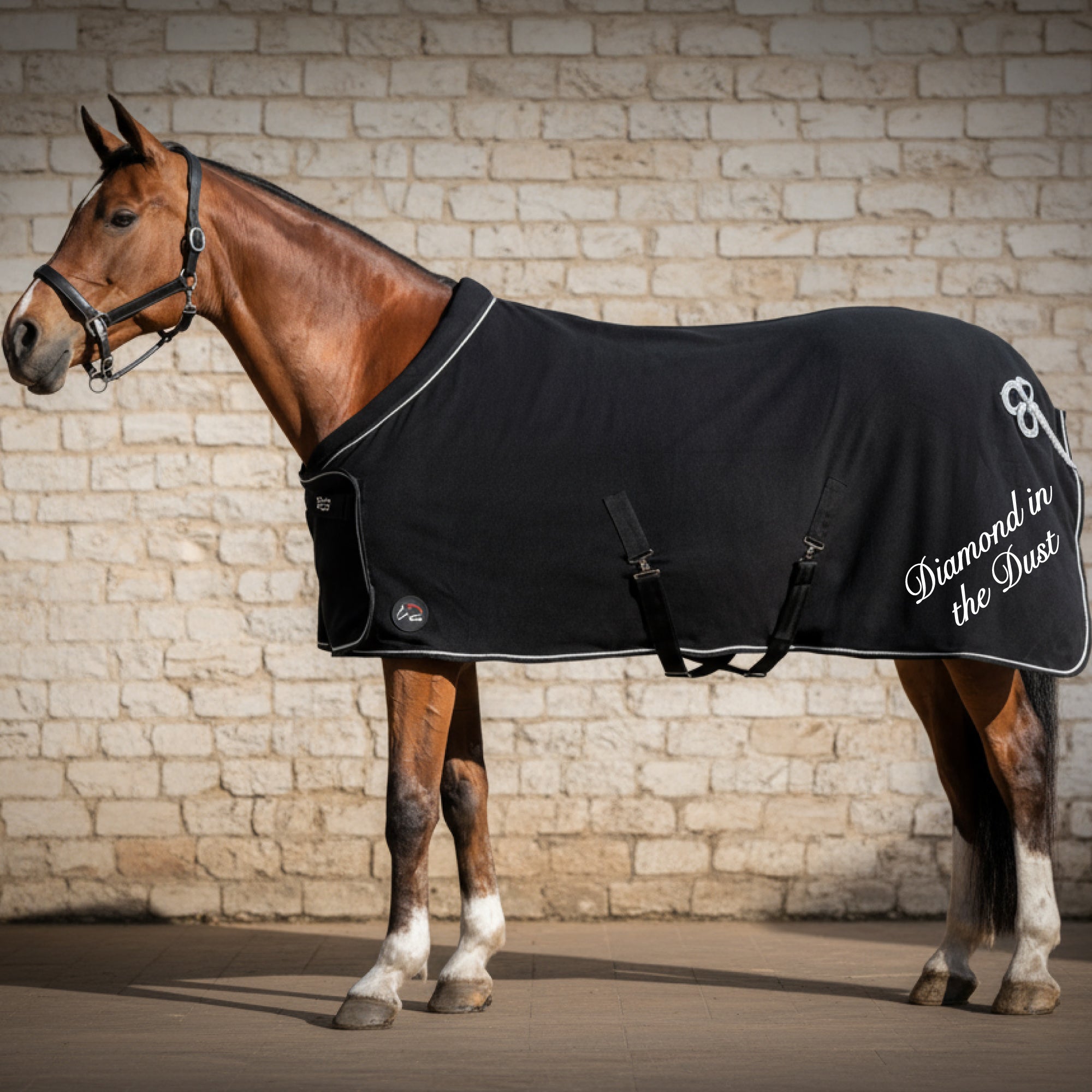 Yes I Smell Like a Horse Funny Equestrian Hoodie – Print My Words