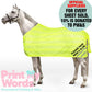 2025 Official PW&S High Visibility Hi Vis Equestrian Horse Reflective MESH Walker/Lunge/Exercise Rug - CAMERA, 10mph, 2m
