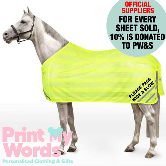 2025 Official PW&S High Visibility Hi Vis Equestrian Horse Reflective MESH Walker/Lunge/Exercise Rug - CAMERA, 10mph, 2m