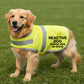 DOUBLE SIDED Hi Vis Dog Vest Reflective Safety Vest REACTIVE DOG Please Give Us Space