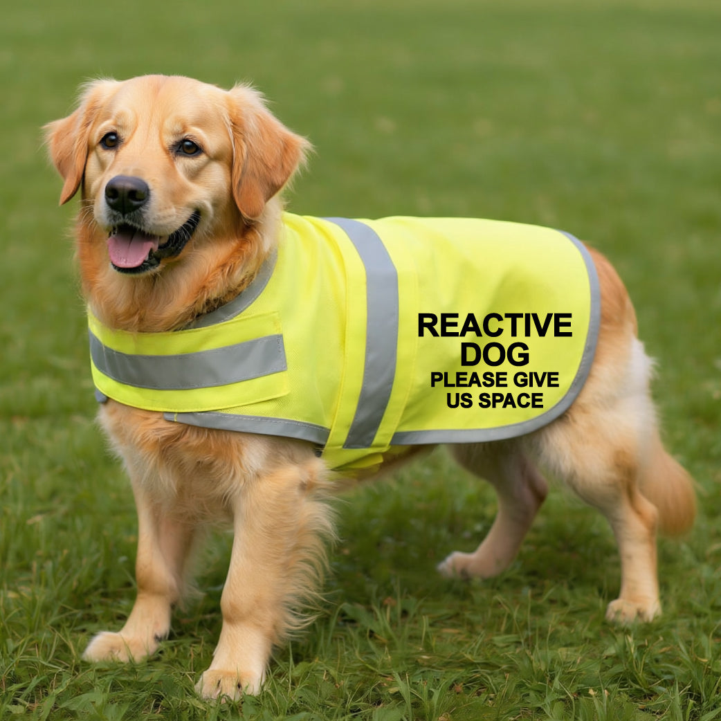 DOUBLE SIDED Hi Vis Dog Vest Reflective Safety Vest REACTIVE DOG Please Give Us Space