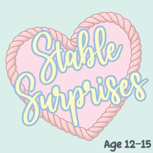 Stable Surprises Subscription Box: Age 12-15