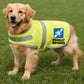 DOUBLE SIDED Hi Vis Dog Vest Reflective Safety Vest VISUALLY IMPAIRED