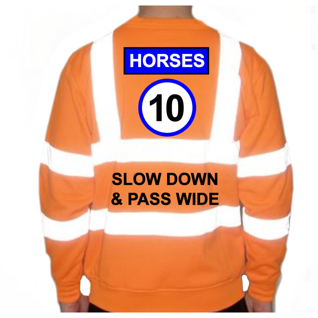 Unisex Hi-Vis Reflective Jumper/Sweatshirt - HORSES 10MPH SLOW DOWN