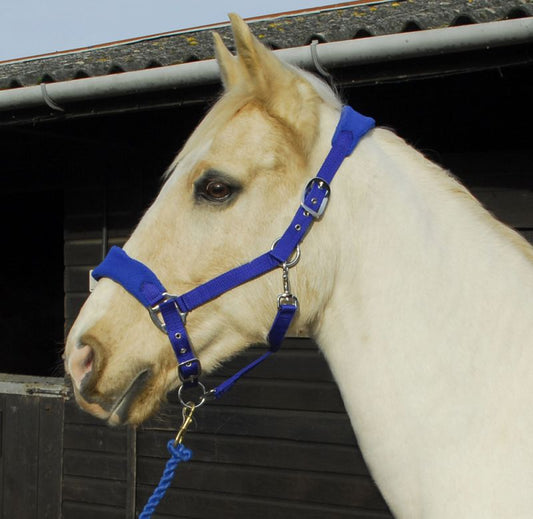 Personalised Anatomical Headcollar And Leadrope Set - Handwritten Design