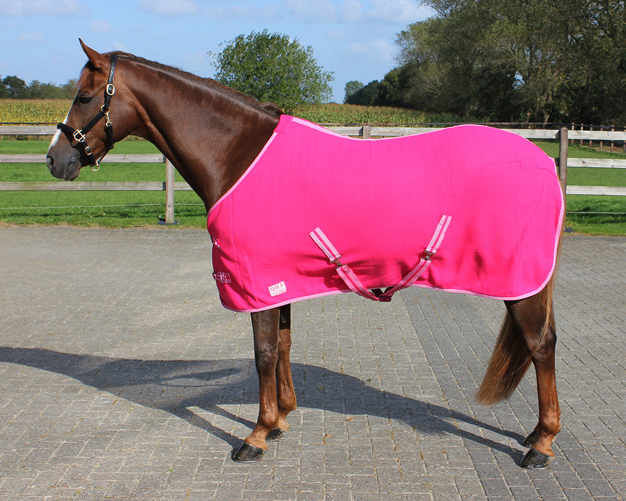 Personalised Equestrian Horse Pony Fleece Rug Cooler - Script Style