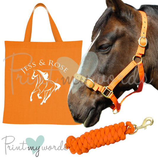 'Alexa' Personalised Matching Equestrian Set - Classic Abstract Design