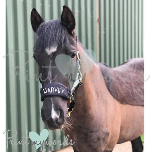 Personalised Anatomical Headcollar And Leadrope Set - Deco Design