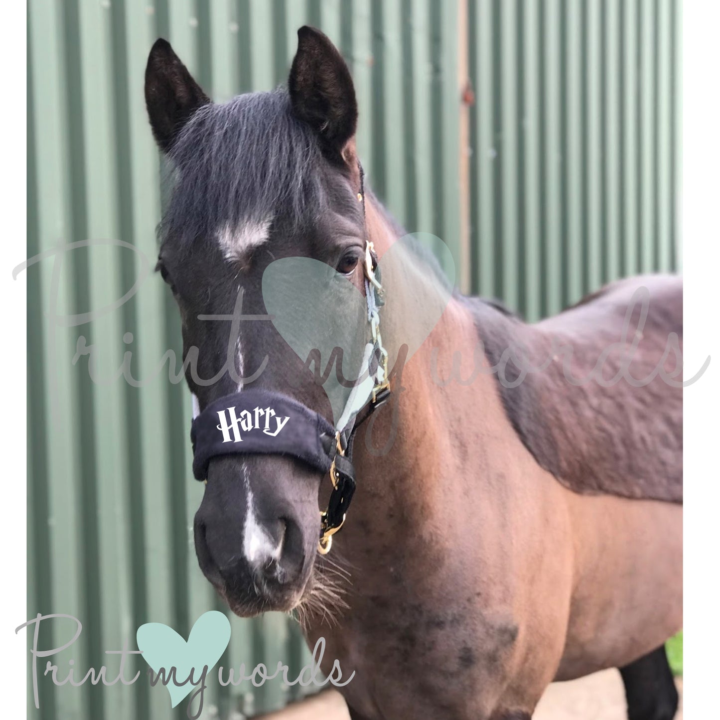 Personalised Anatomical Headcollar And Leadrope Set - Wizard Design