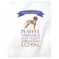 Bracco Italiano Dog Tea Towel