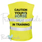 High Visibility Hi Vis Equestrian Reflective Vest Tabard Waistcoat CAUTION YOUNG HORSE IN TRAINING hi-viz