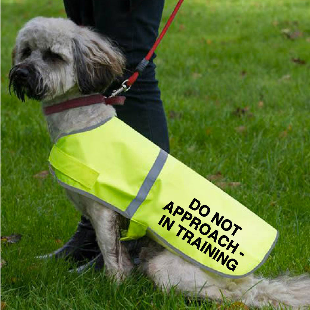Hi Vis Reflective Dog Vest - DO NOT APPROACH - IN TRAINING