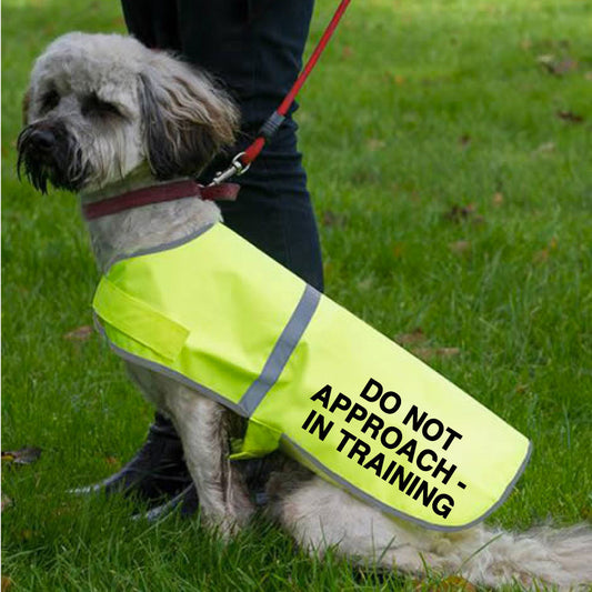 Hi Vis Reflective Dog Vest - DO NOT APPROACH - IN TRAINING