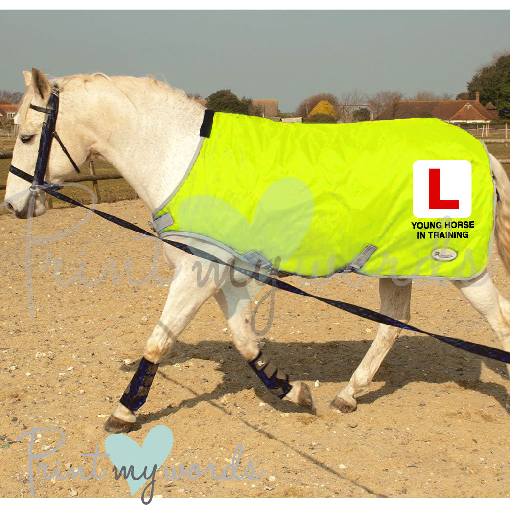 High Visibility Hi Vis Equestrian Horse Reflective Walker/Lunge/Exercise Rug - L PLATE