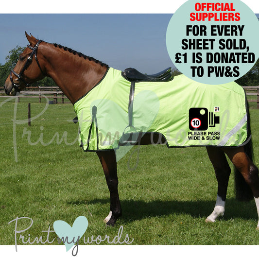 Official PW&S High Visibility Hi Vis Equestrian Horse Reflective Ride-On Exercise Rug - CAMERA, 10mph, PLEASE PASS WIDE & SLOW